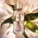 Lancome Absolue 6AM Rose for women 100 ml