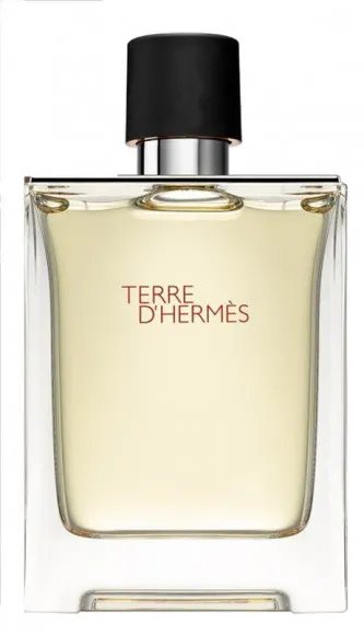 Hermes Terre D'Hermes edt for men 100 ml A Plus Hermes Terre D'Hermes edt for men 100 ml A Plus