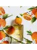 Дольче Габбана Orange unisex edt 150 ml ОАЭ