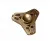 Hand Spinner ( в банке)
