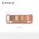 Тени O.TWO.O Rose Gold 9 цветов  18g (9092)
