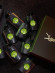 Yves Saint Laurent Black Opium Illicit Green for woman 75 ml
